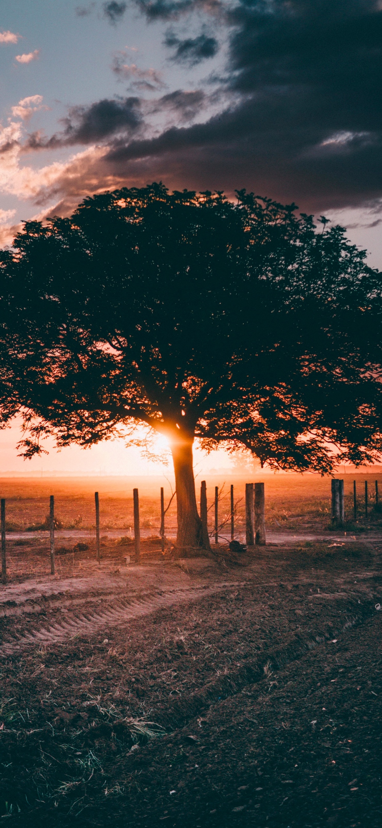 Обои осенний вечер, вечер, облако, атмосфера, экорегион в разрешении 1242x2688