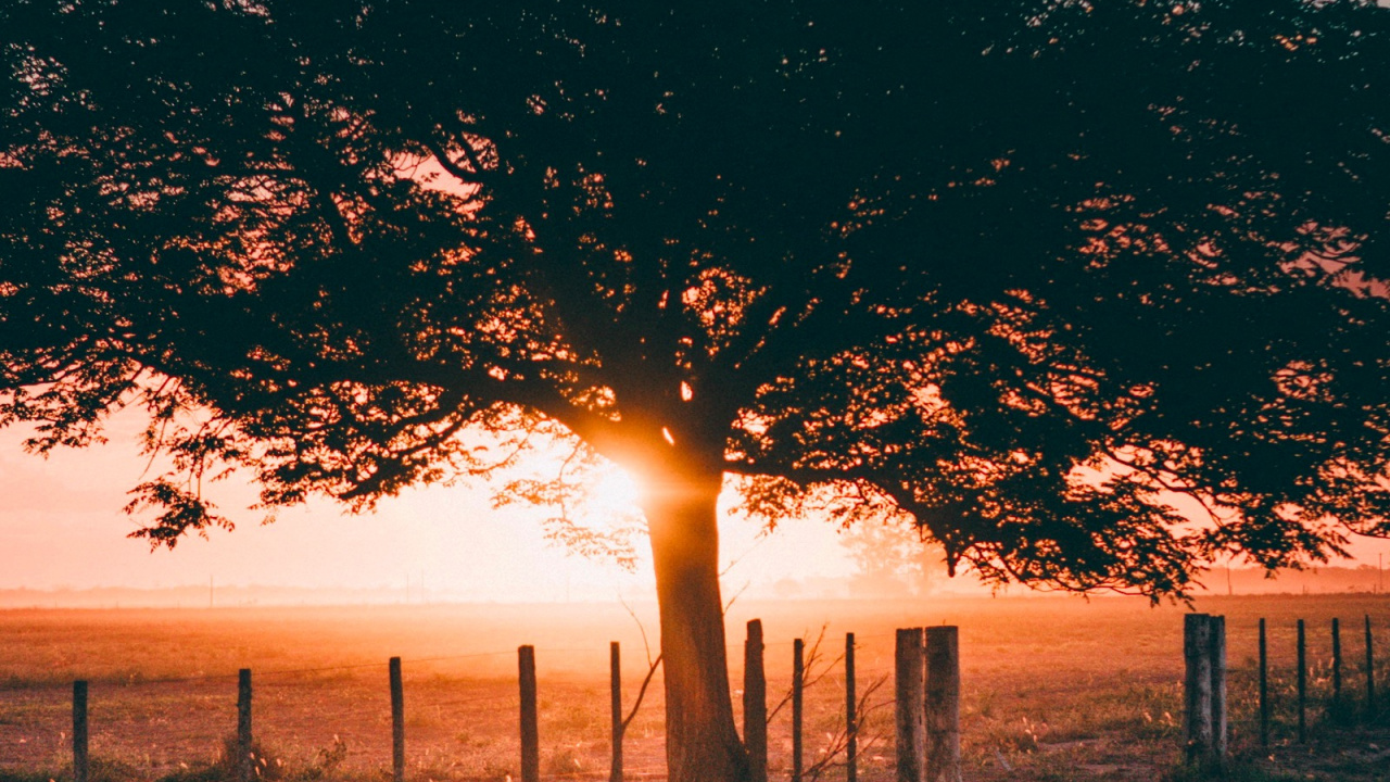 Обои осенний вечер, вечер, облако, атмосфера, экорегион в разрешении 1280x720