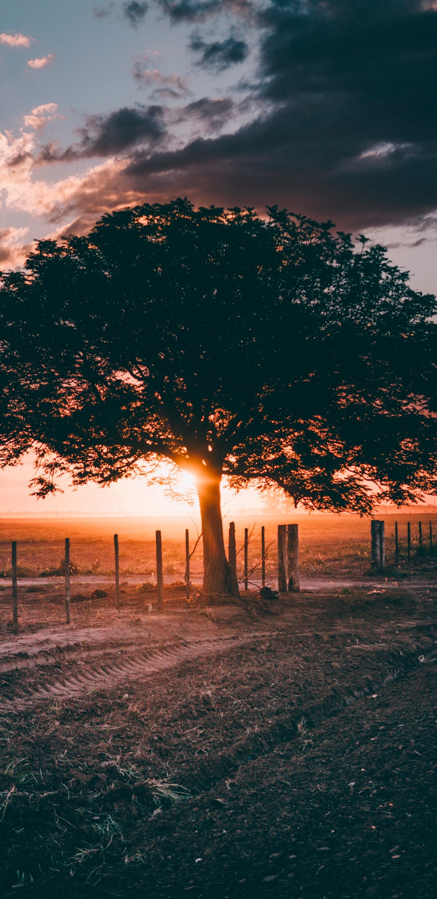 Обои осенний вечер, вечер, облако, атмосфера, экорегион в разрешении 1440x2960