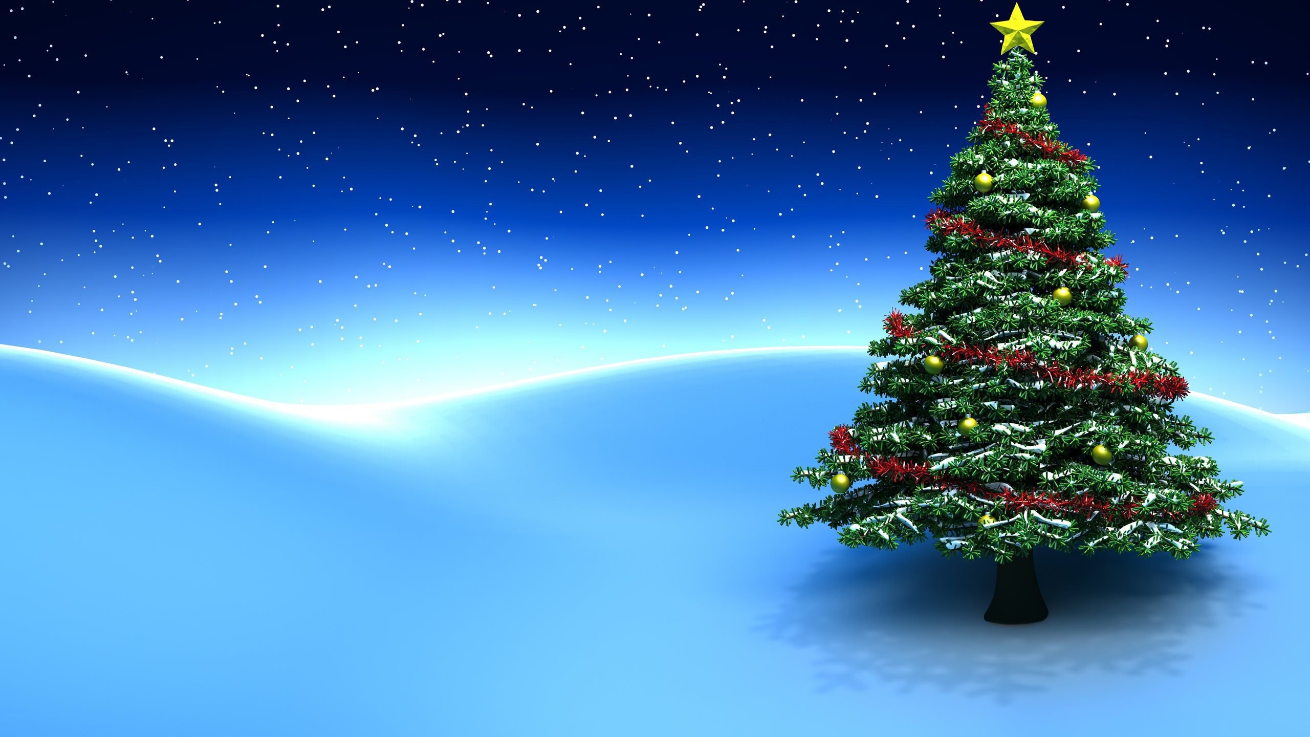 Обои Новый год, Рождественский день, елка, дерево, Рождество в разрешении 2560x1440