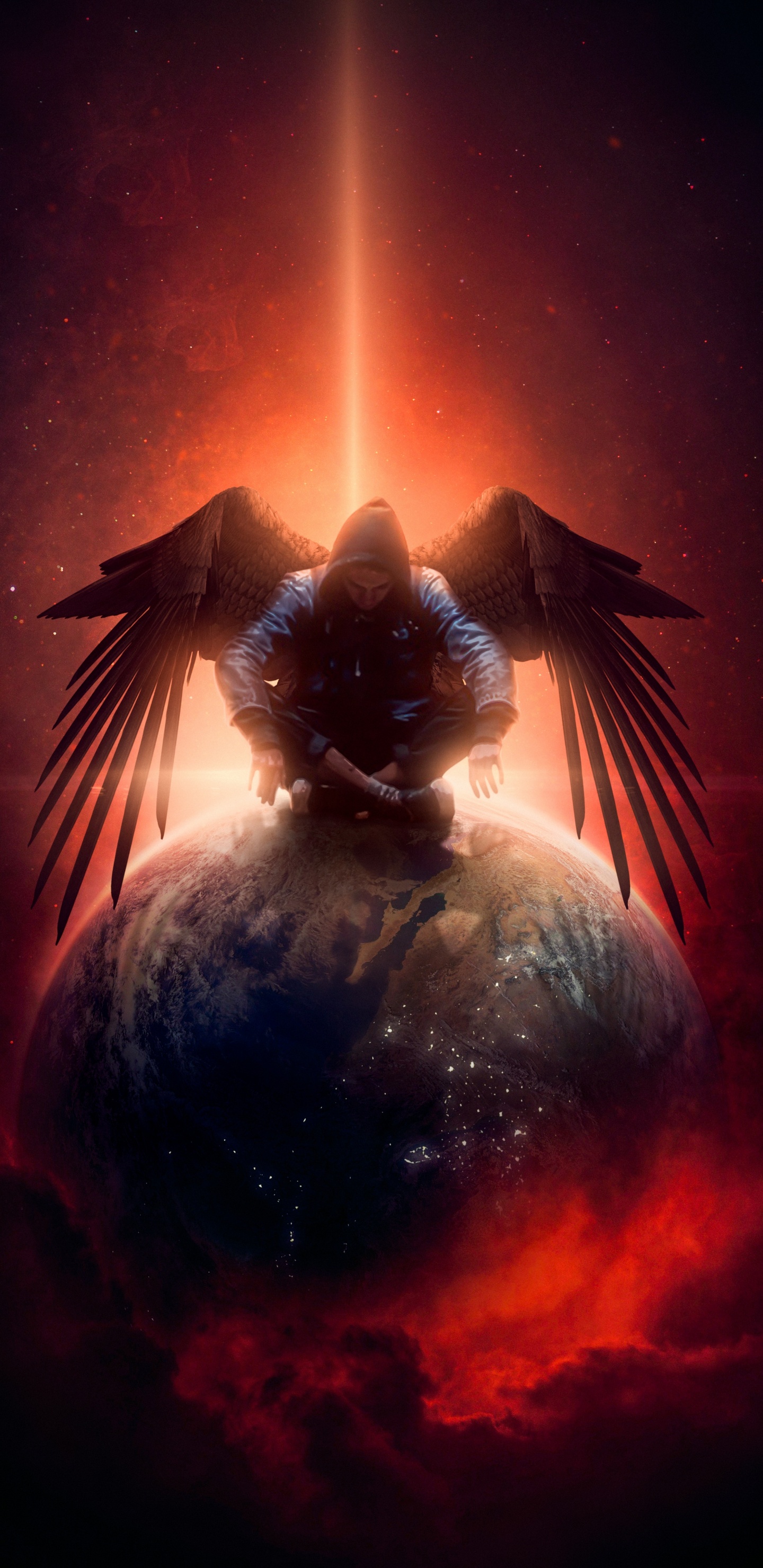 Обои Соколообразные, графический дизайн, istx eu esg cl a se 50 eo, птица, освещение в разрешении 1440x2960