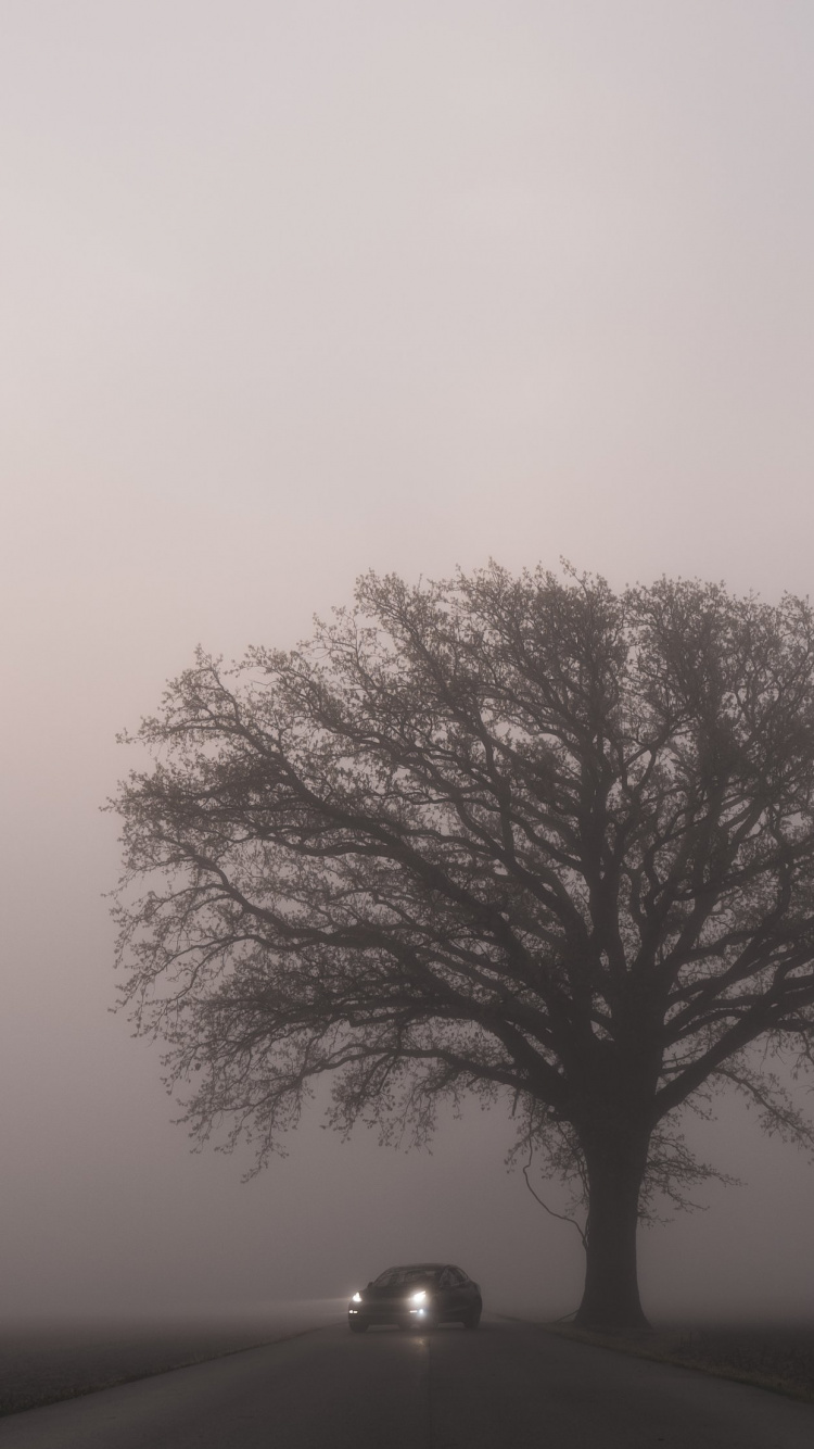 Обои Tesla Model 3, Tesla, легковые автомобили, Tesla Model S, яблоко в разрешении 750x1334