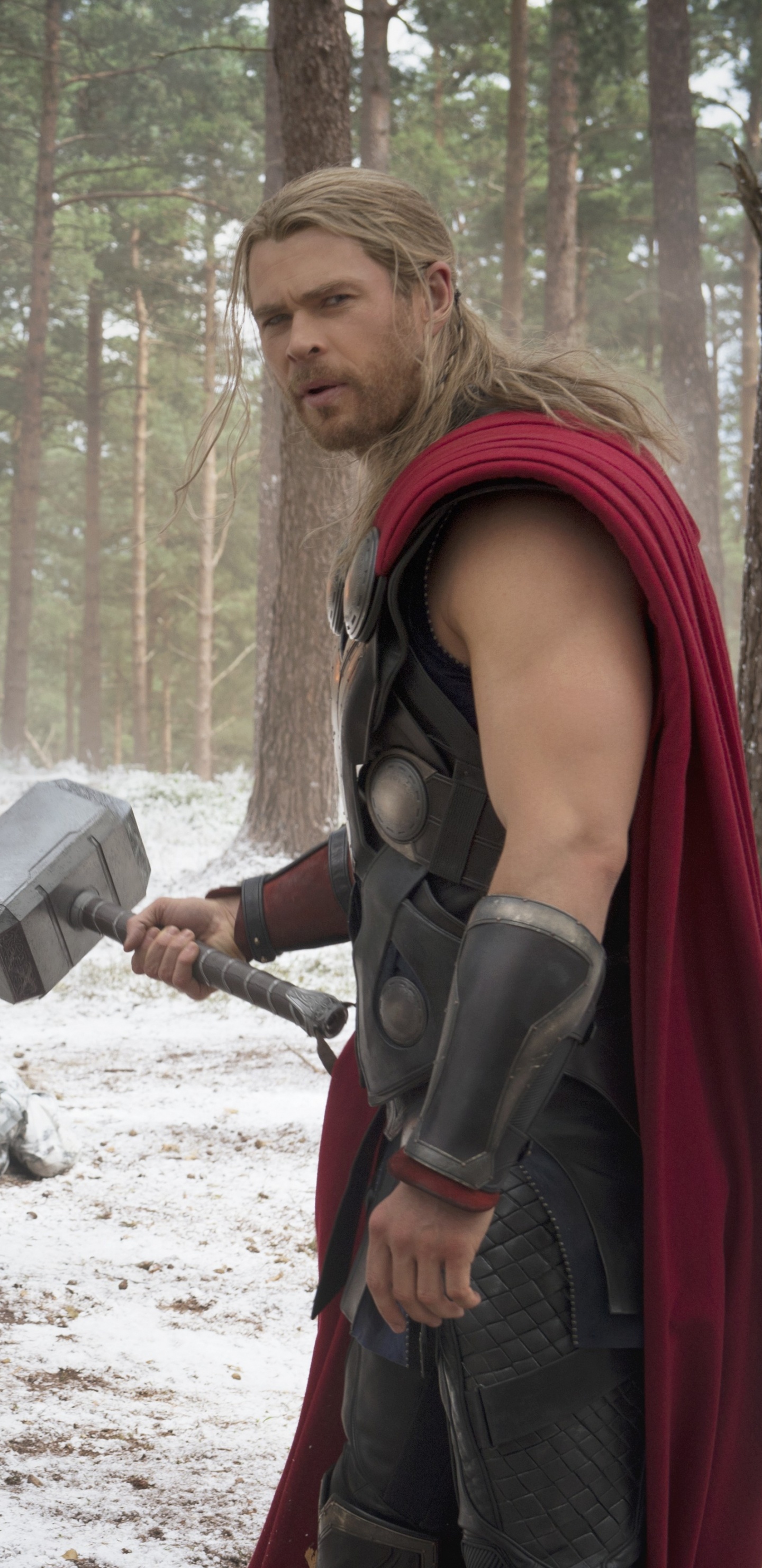 Обои Крис Хемсворт, Капитан Америка, ТОР, Мстители эра альтрона, вымышленный персонаж в разрешении 1440x2960