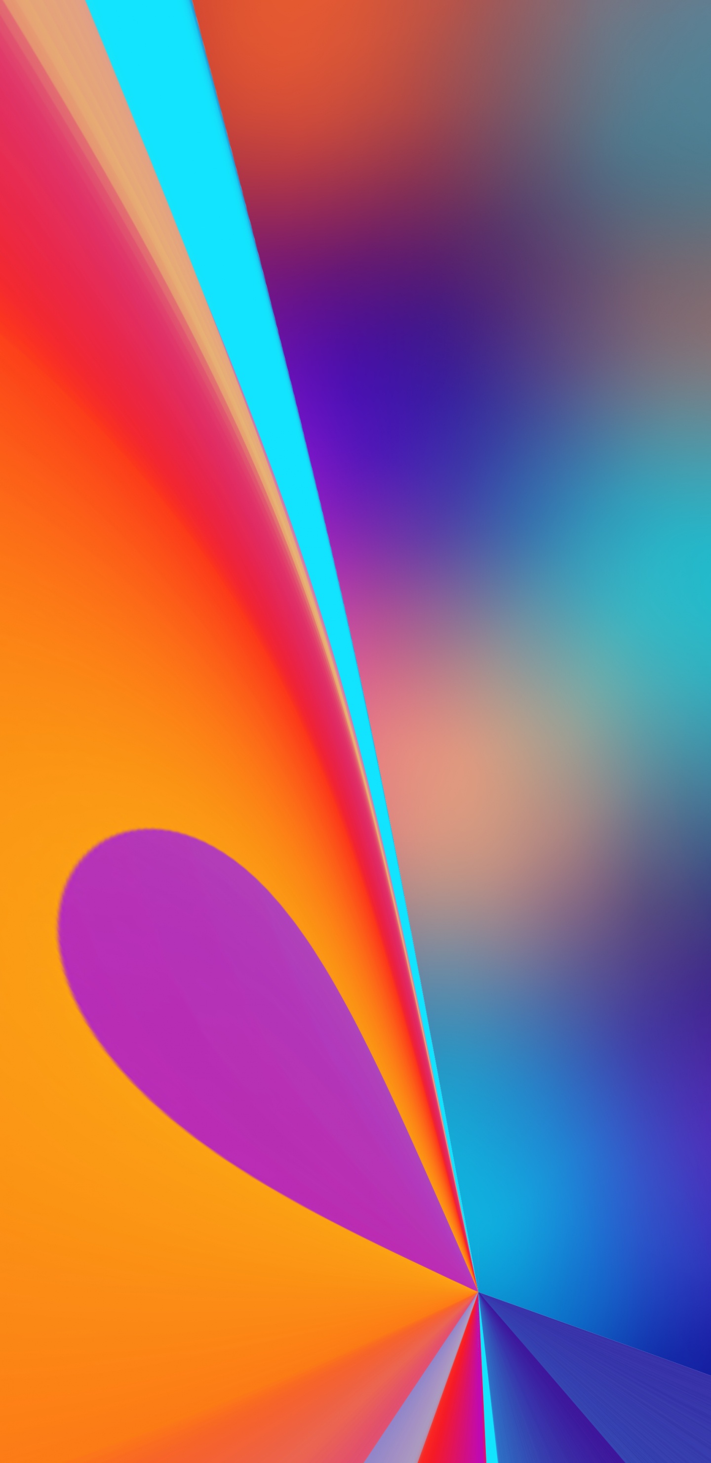 Обои цвет полный, цвет, Апельсин, красочность, пурпурный цвет в разрешении 1440x2960