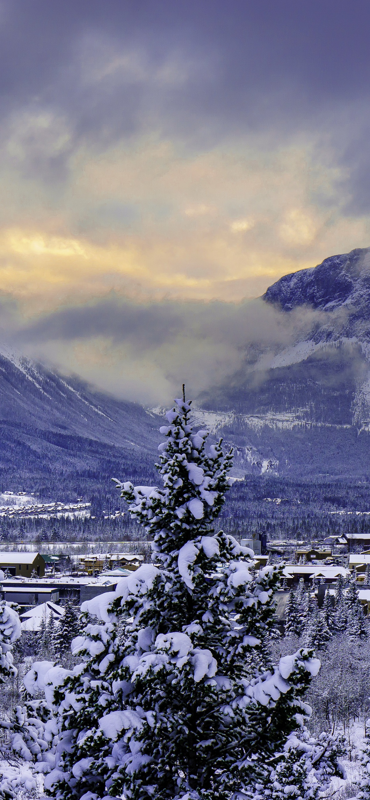 Обои Кэнморе, банфф, зима, горный рельеф, гора в разрешении 1242x2688