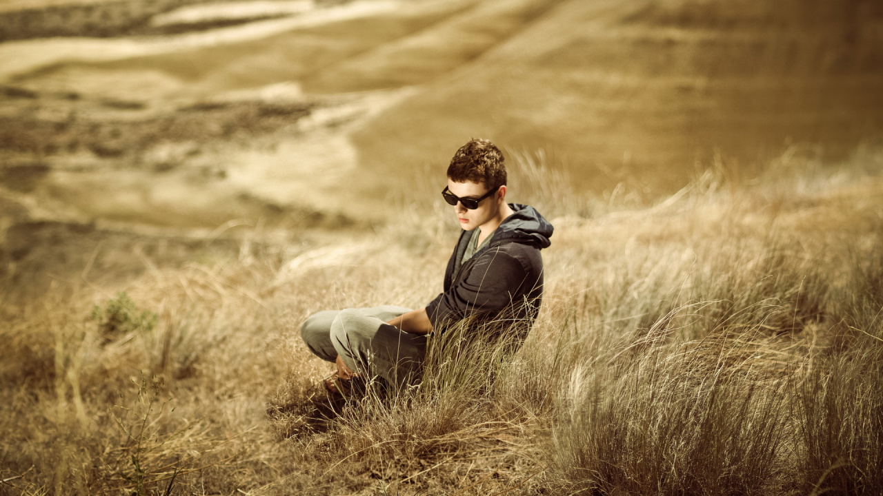 Обои семейство травы, экорегион, солнечный свет, пейзаж, прерия в разрешении 1280x720