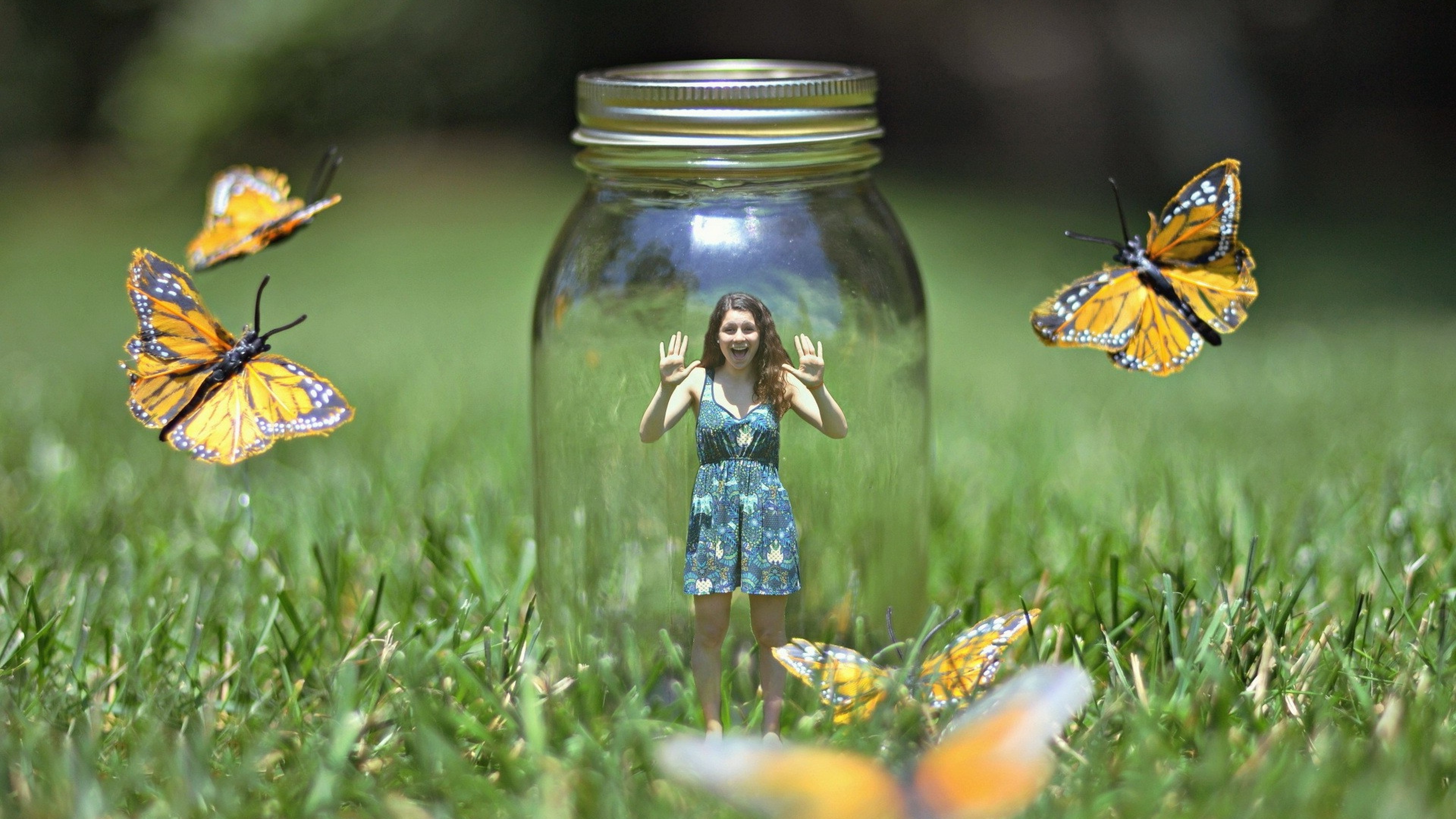 Обои Синтия подрода, арт, беспозвоночных, насекомое, полевой цветок в разрешении 3840x2160