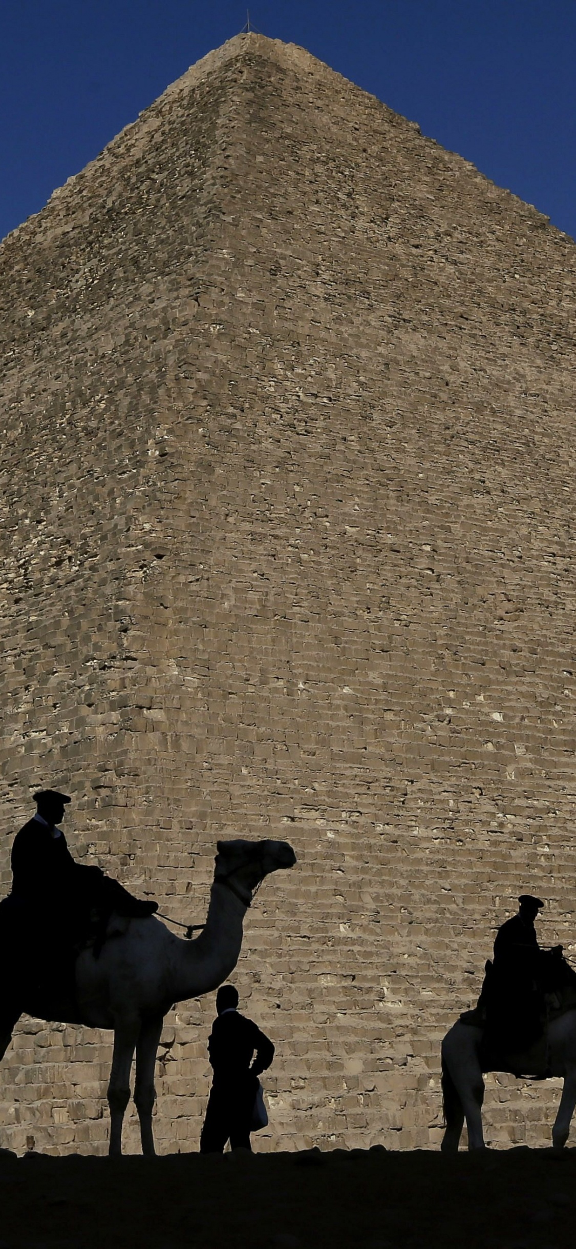 Обои Каир, Чудеса мира, пирамида, египетская пирамида, верблюд в разрешении 1125x2436