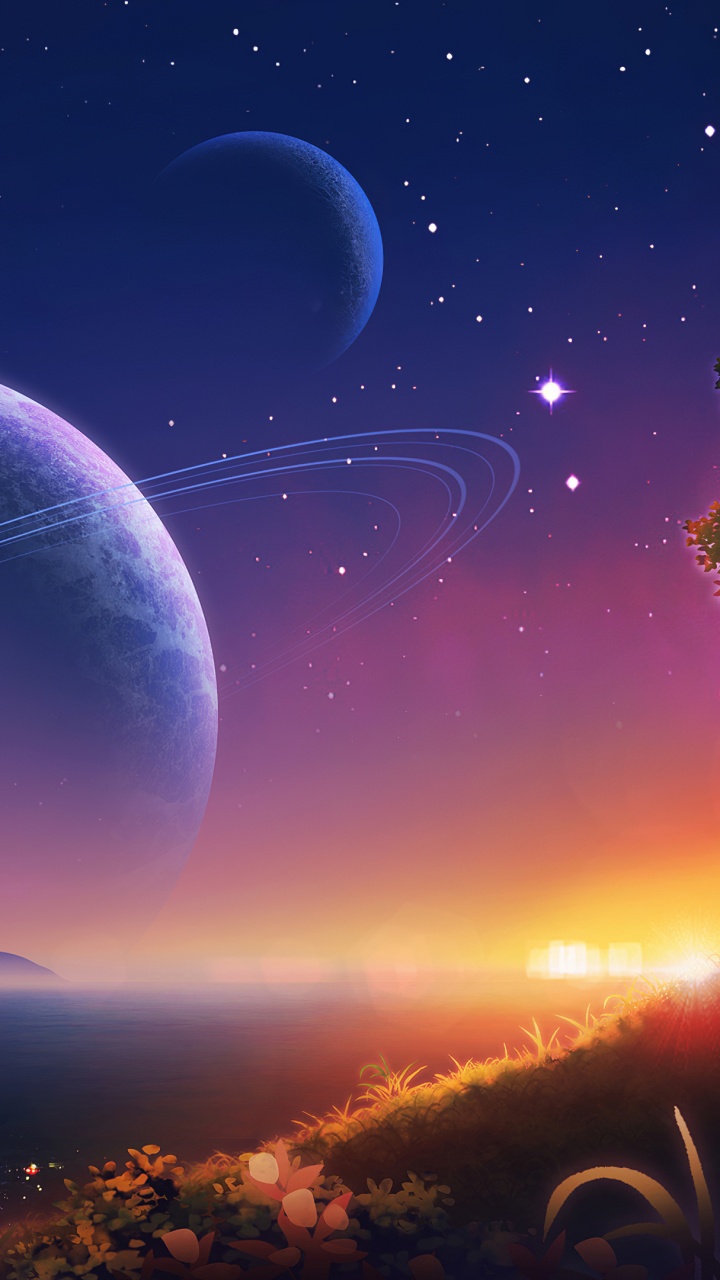 Обои атмосфера, мир, свет, растение, природа в разрешении 720x1280