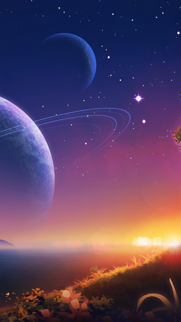 Обои атмосфера, мир, свет, растение, природа в разрешении 750x1334