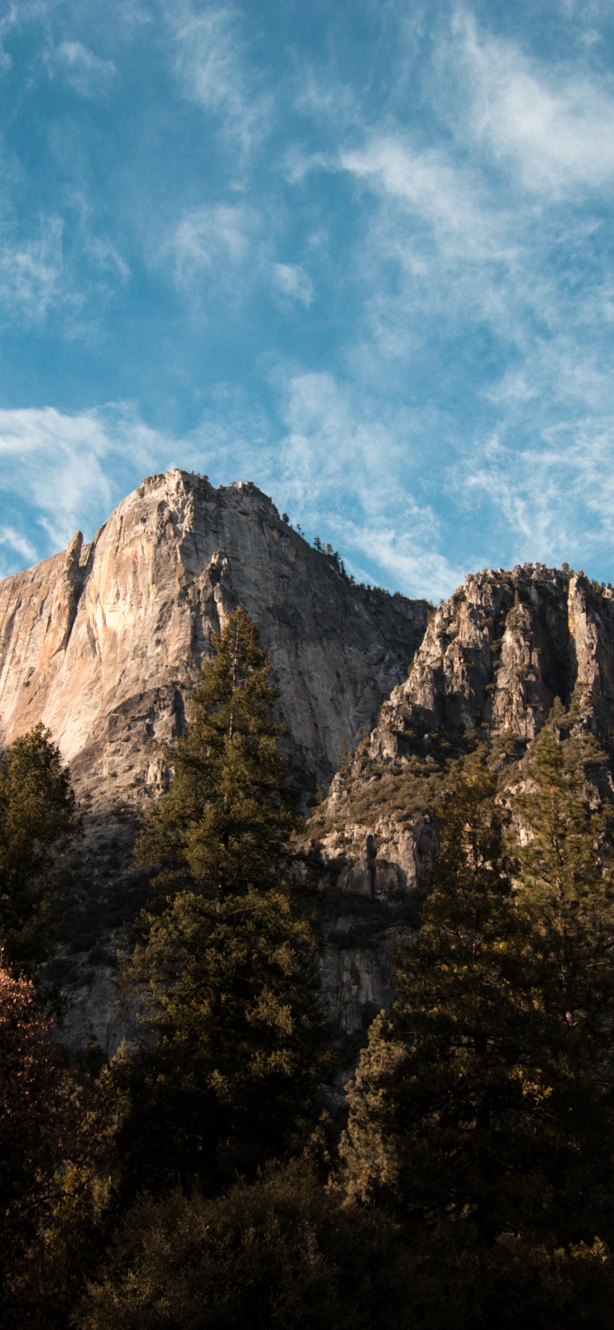 Обои пейзажи гор, Альпы, облако, растение, гора в разрешении 1242x2688
