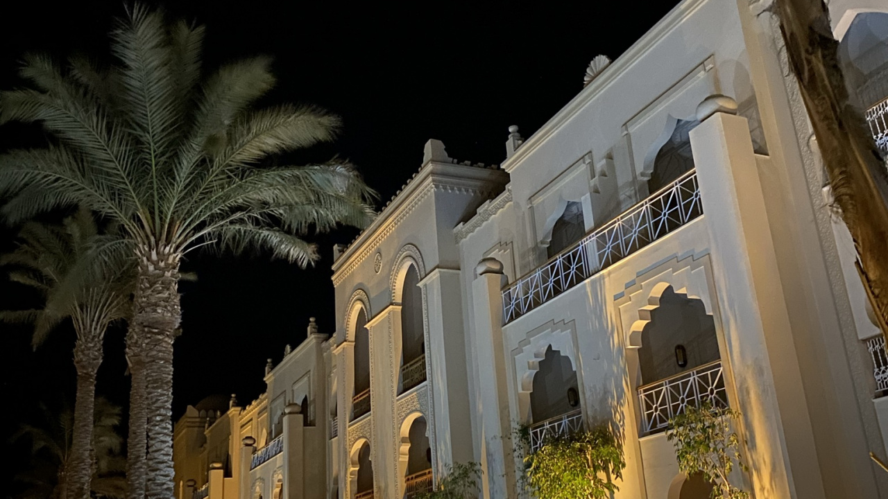 Обои Пальма, растение, мир, дерево, здание в разрешении 1280x720