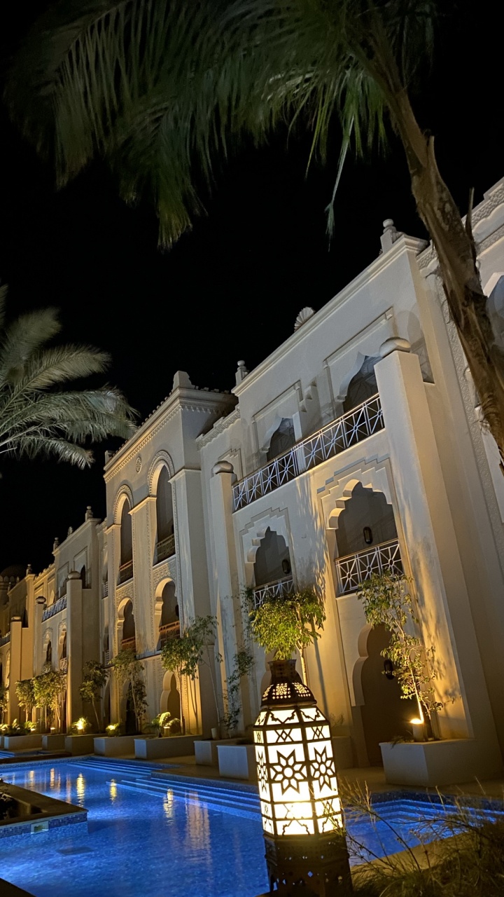 Обои Пальма, растение, мир, дерево, здание в разрешении 720x1280