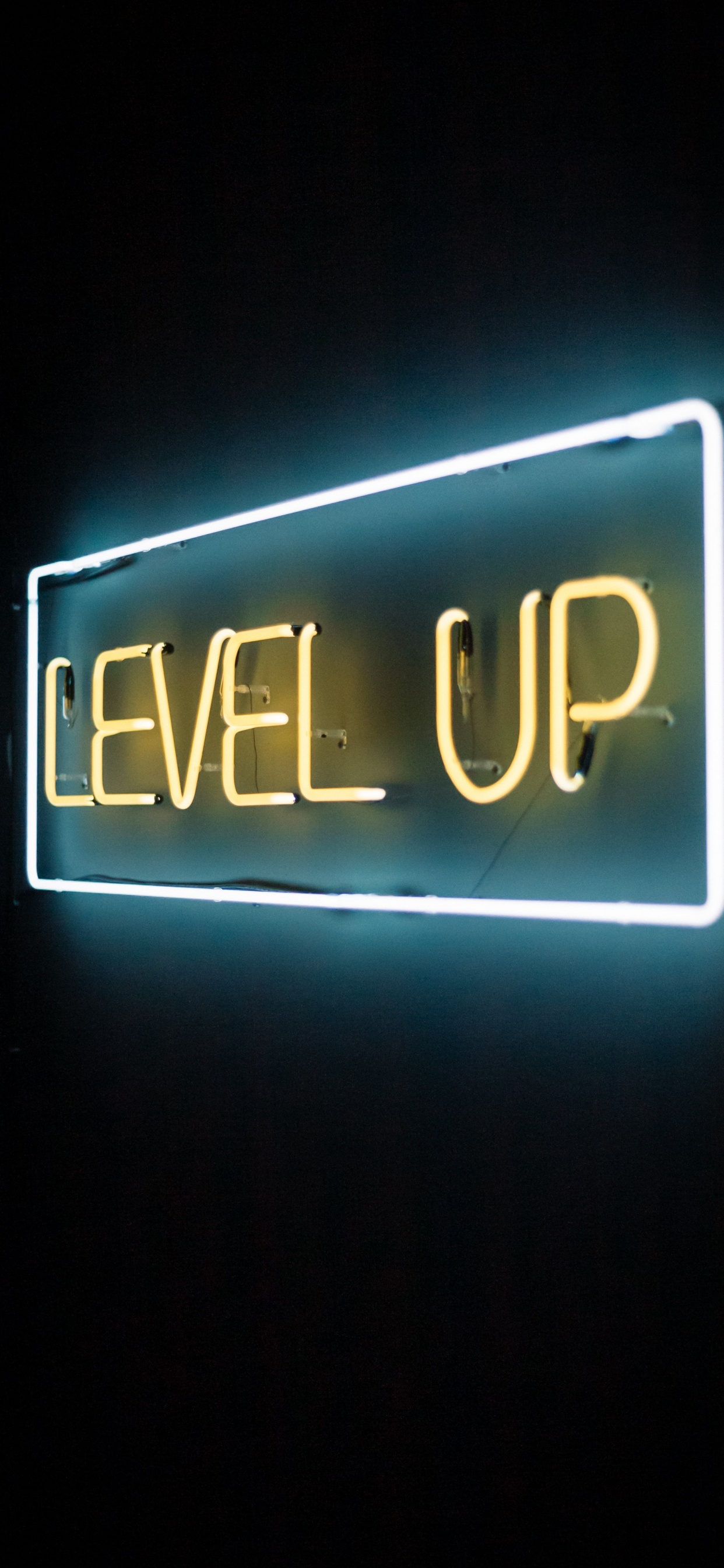 Обои неон, неоновая вывеска, текст, электронные табло, вывеска в разрешении 1242x2688