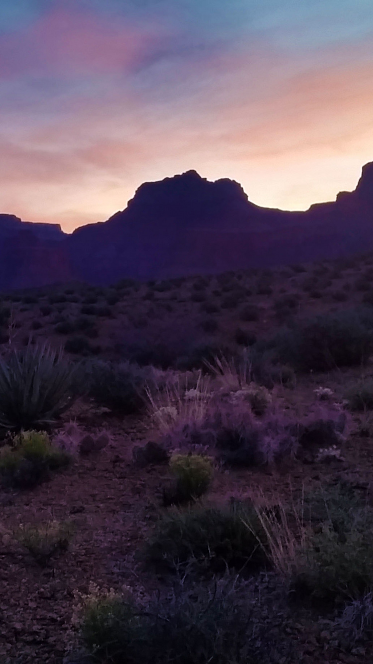 Обои дикая местность, бесплодные земли, гора, кустарник, небо в разрешении 750x1334