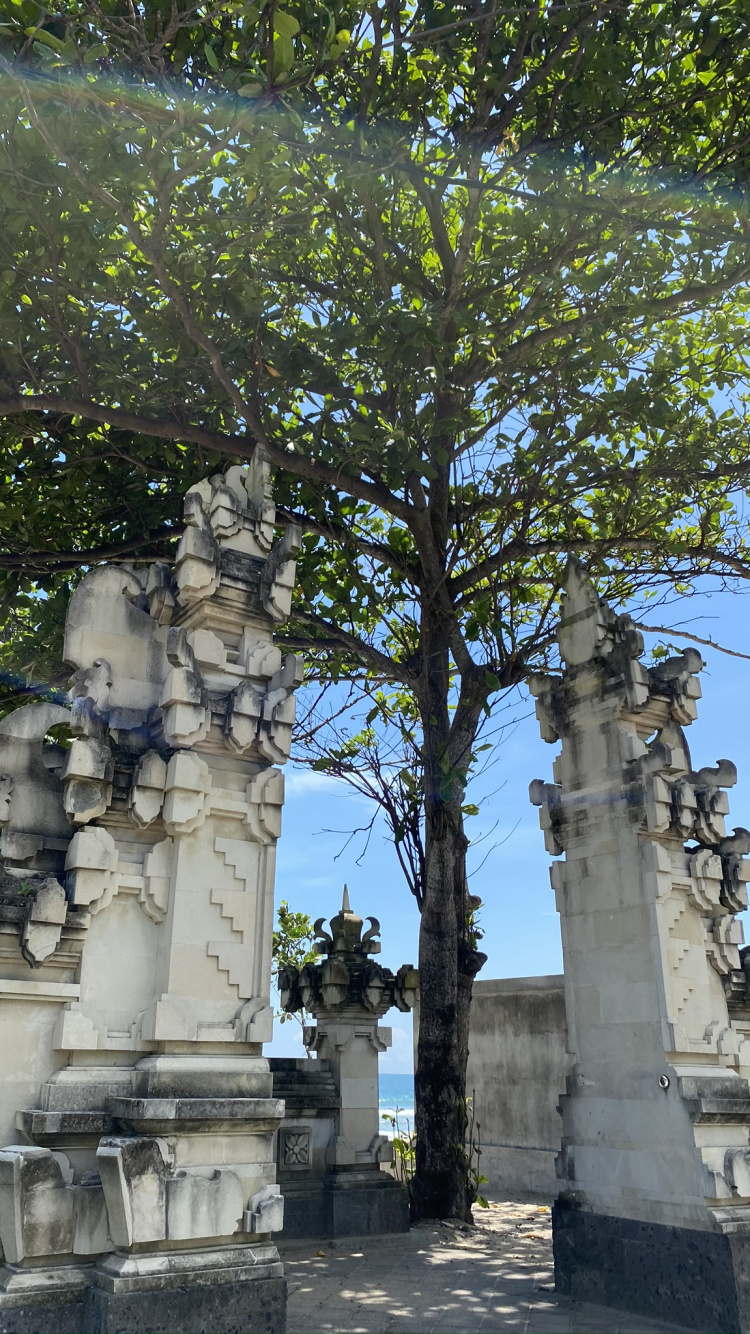 Обои Индонезия, бали, дерево, статуя, древняя история в разрешении 750x1334