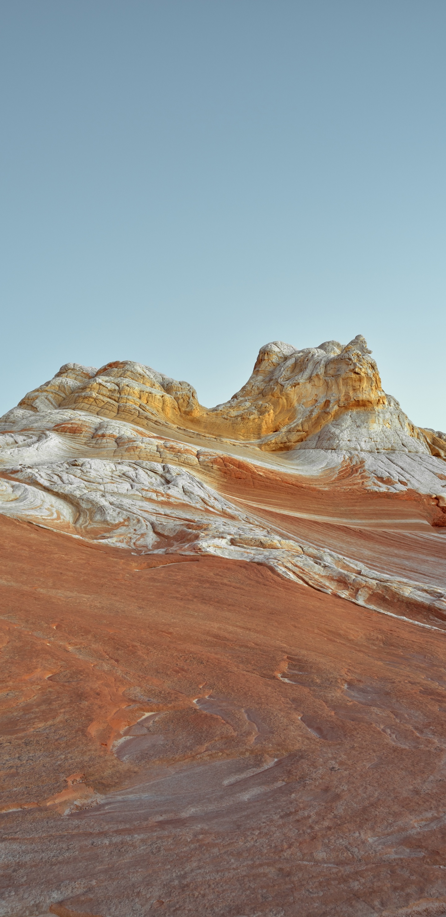 Обои айпад, ipad pro, apple, iPad Air, iOS 14 в разрешении 1440x2960