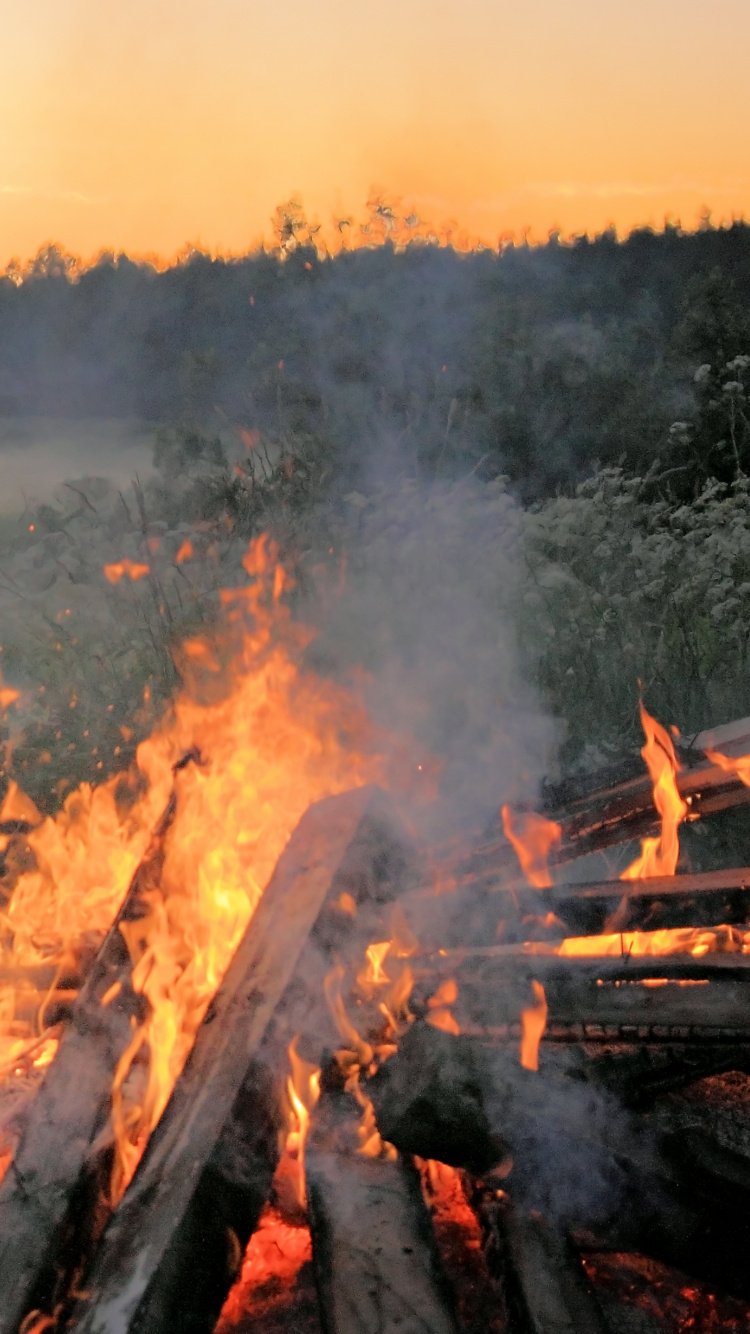 Обои дикая местность, пожар, огонь, солнечный свет, закат в разрешении 750x1334