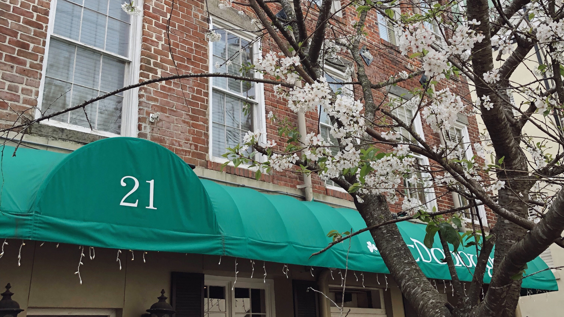 Обои городской район, ветвь, архитектура, крыша, дерево в разрешении 1920x1080