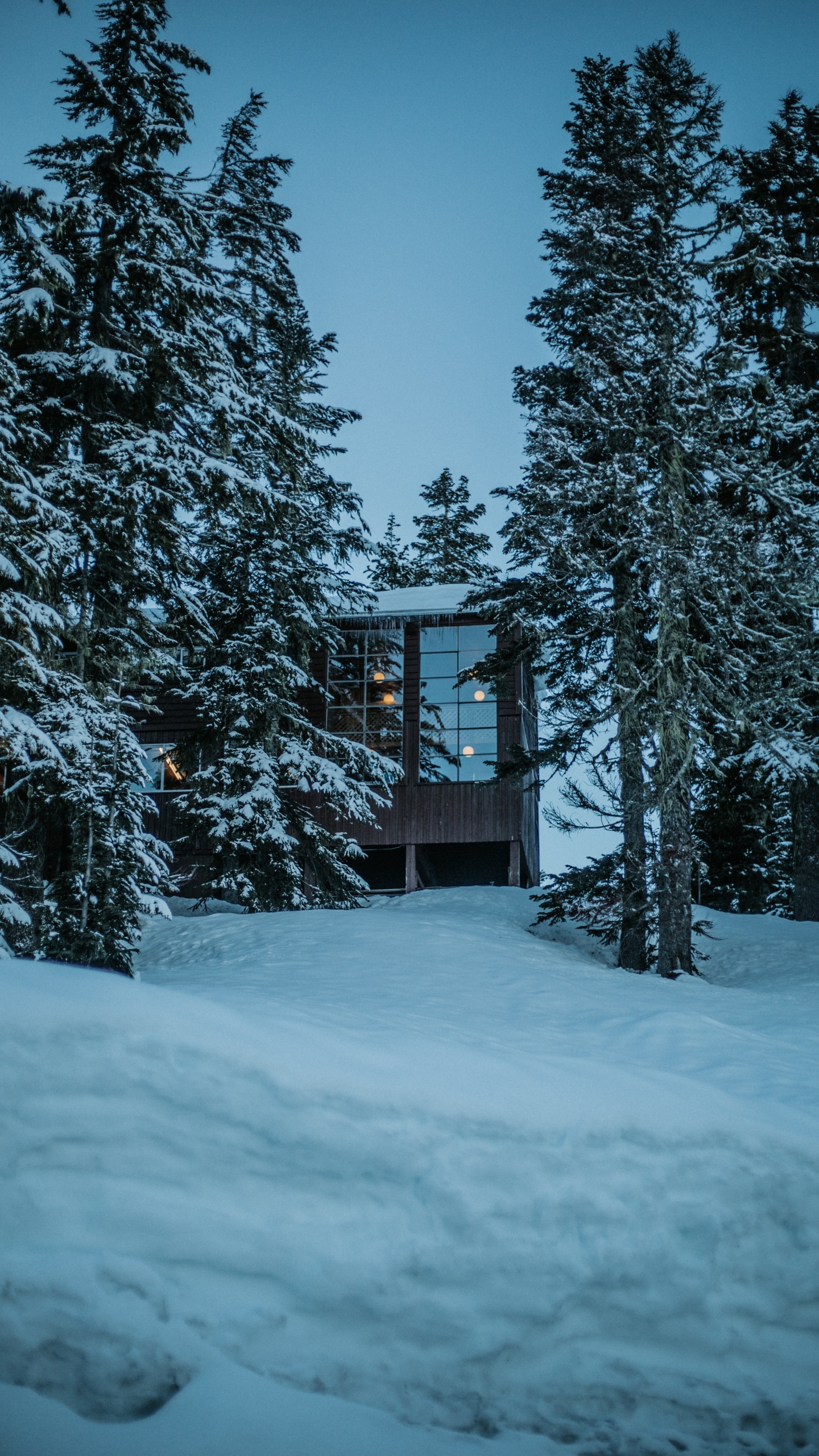 Обои зима, Хаус, снег, дерево, природа в разрешении 1440x2560