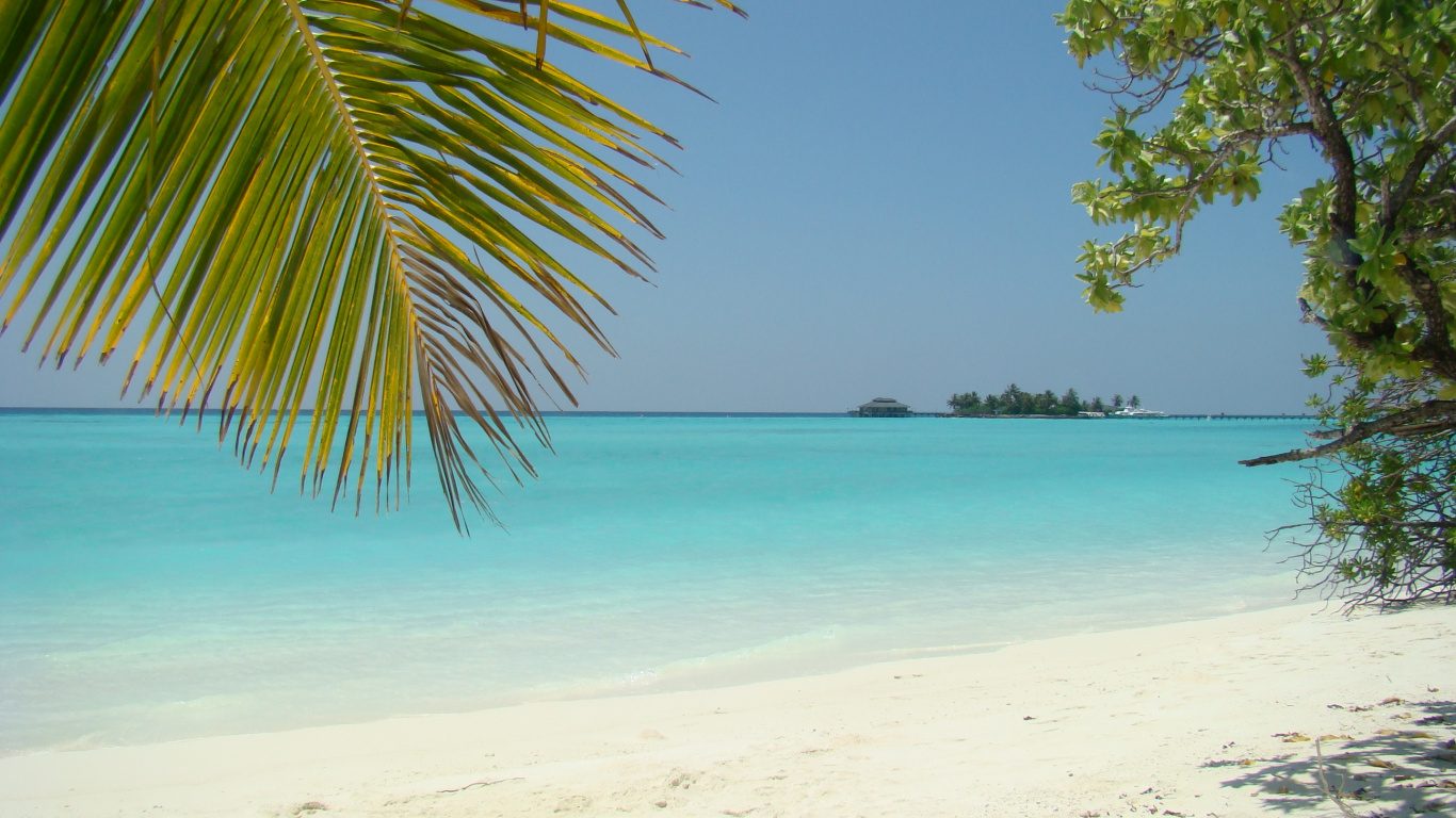 Обои море, пляж, залив, побережье, берег в разрешении 1366x768