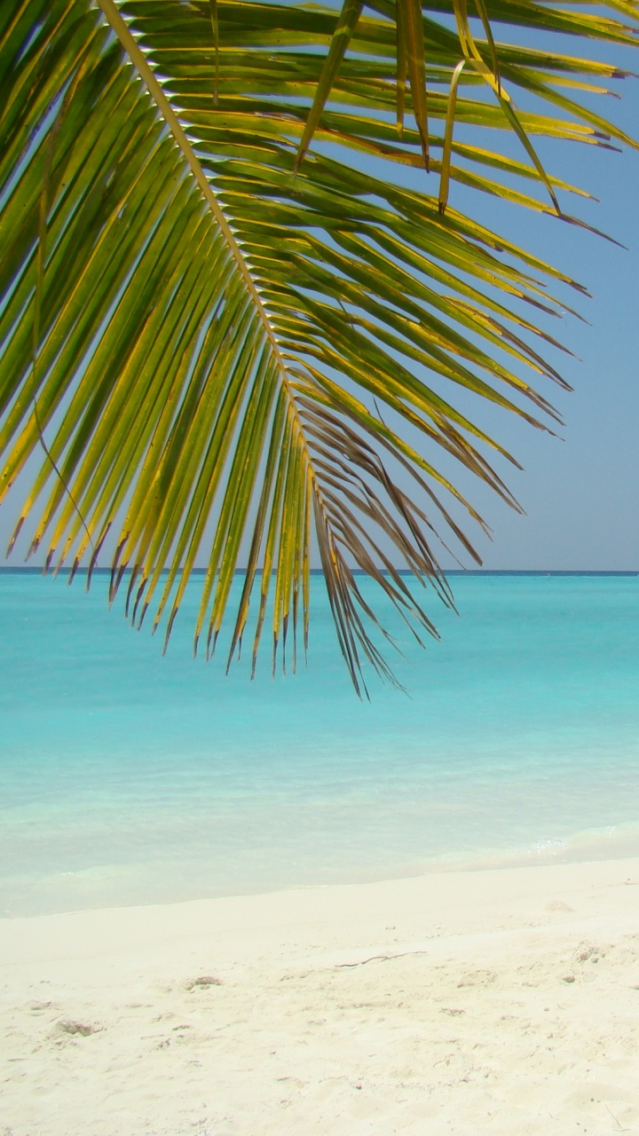 Обои море, пляж, залив, побережье, берег в разрешении 720x1280