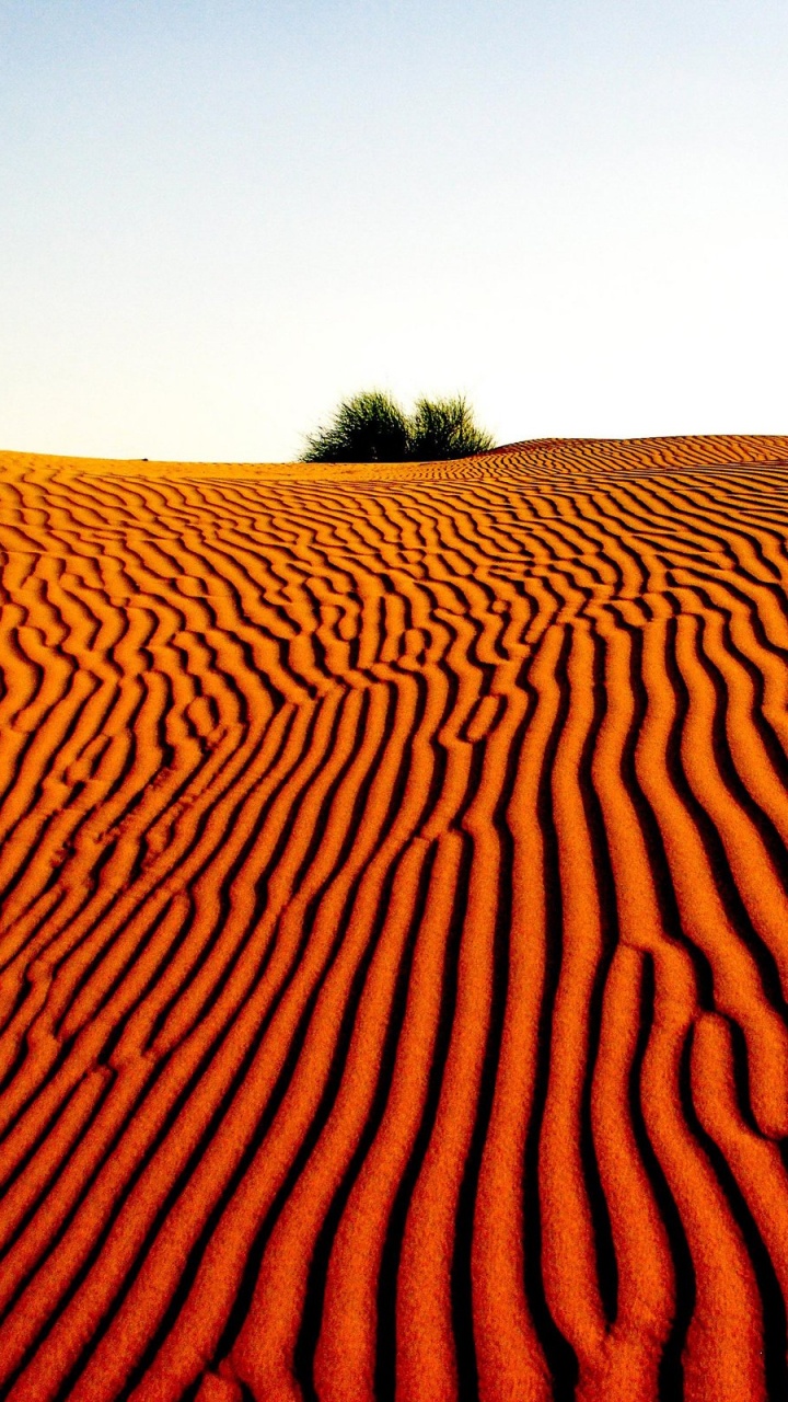 Обои Дюна, пустыня, эрг, эолийские рельефы, песок в разрешении 720x1280