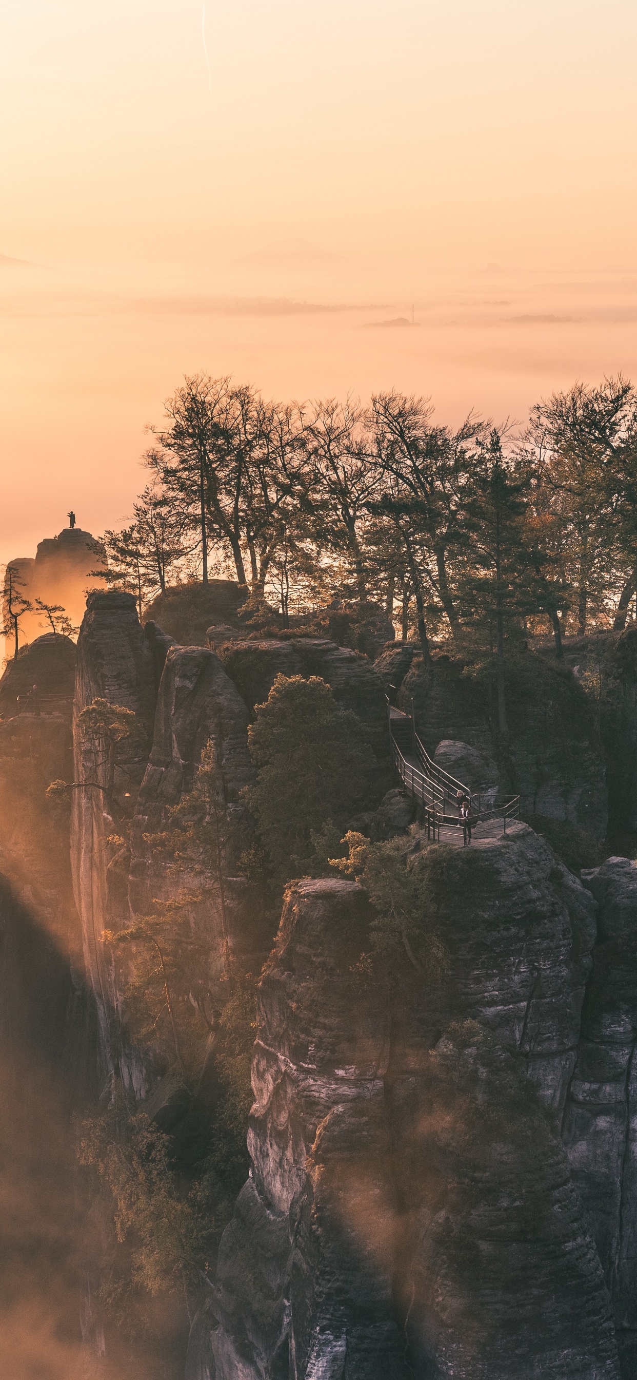 Обои небо, местность, утро, солнечный свет, погода в разрешении 1242x2688