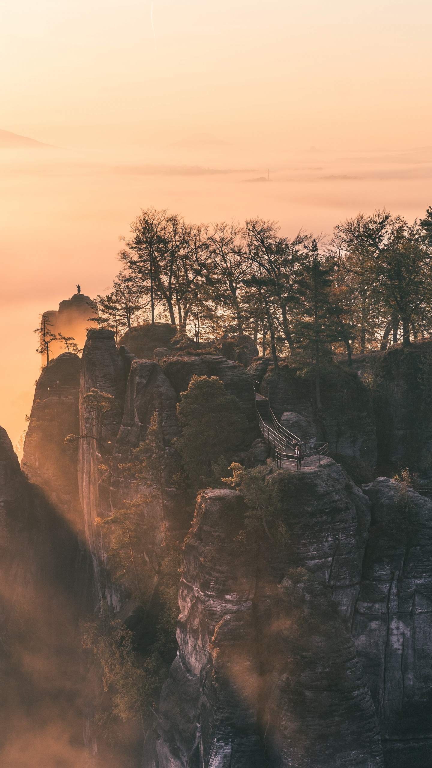 Обои небо, местность, утро, солнечный свет, погода в разрешении 1440x2560