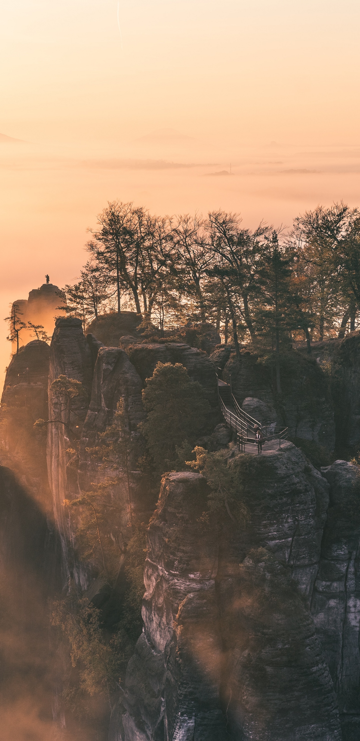 Обои небо, местность, утро, солнечный свет, погода в разрешении 1440x2960