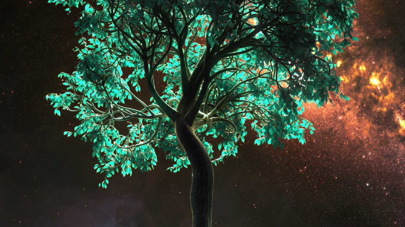 Обои дерево, смартфон, атмосфера, мир, свет в разрешении 1366x768