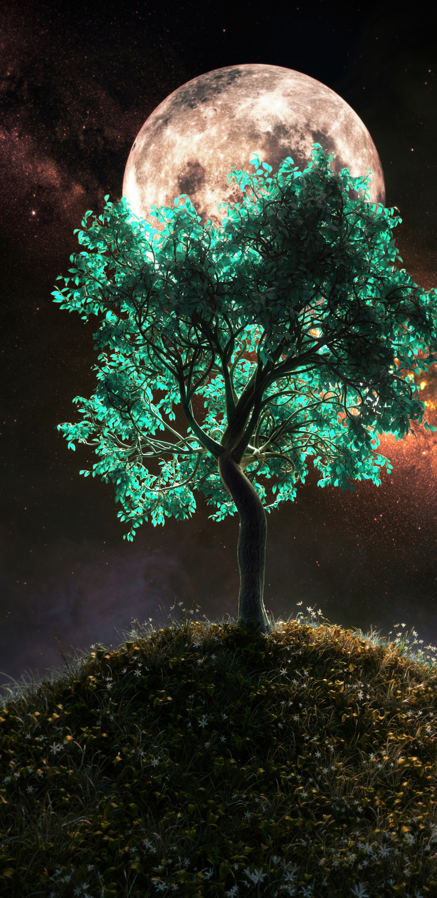 Обои дерево, смартфон, атмосфера, мир, свет в разрешении 1440x2960