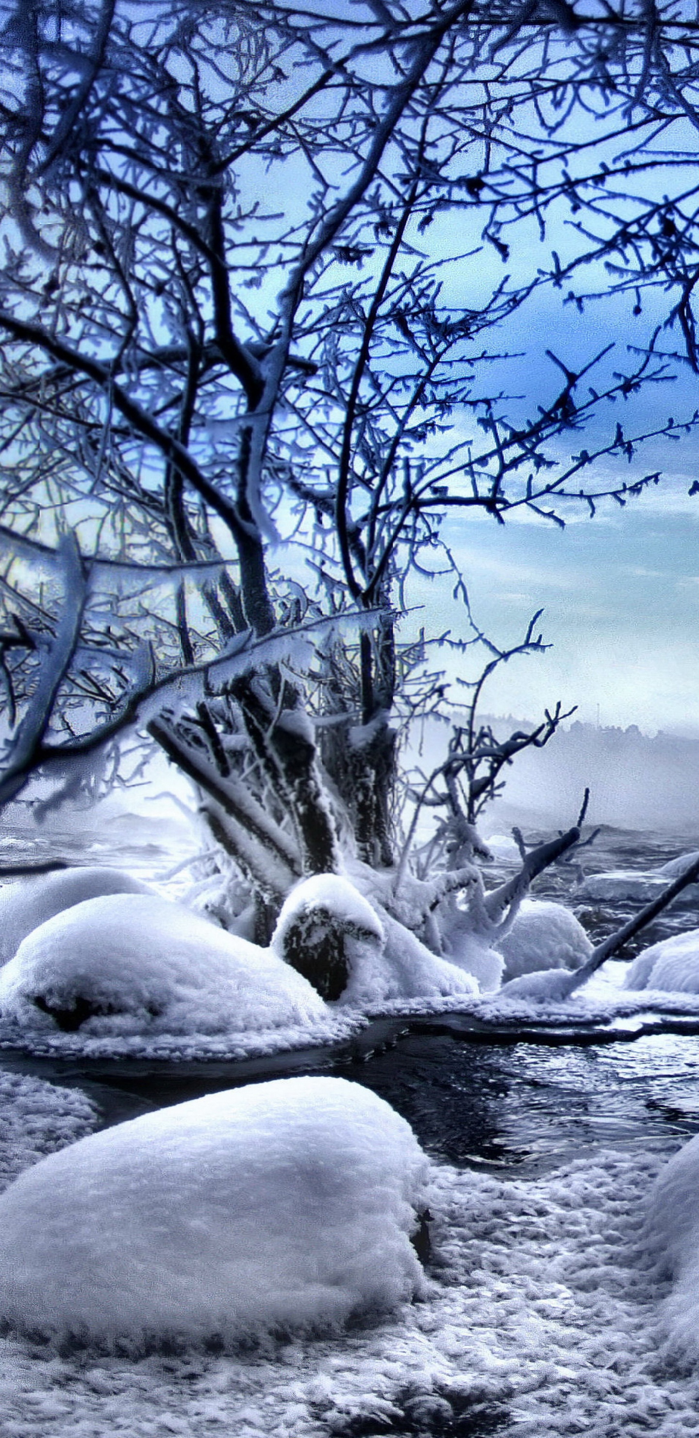 Обои снег, зима, природа, дерево, замораживание в разрешении 1440x2960
