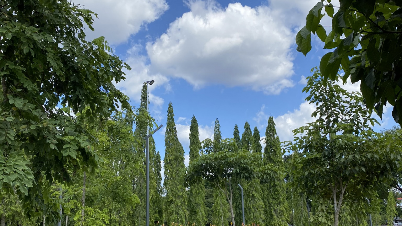 Обои природа, растительность, трава, биом, растение в разрешении 1280x720