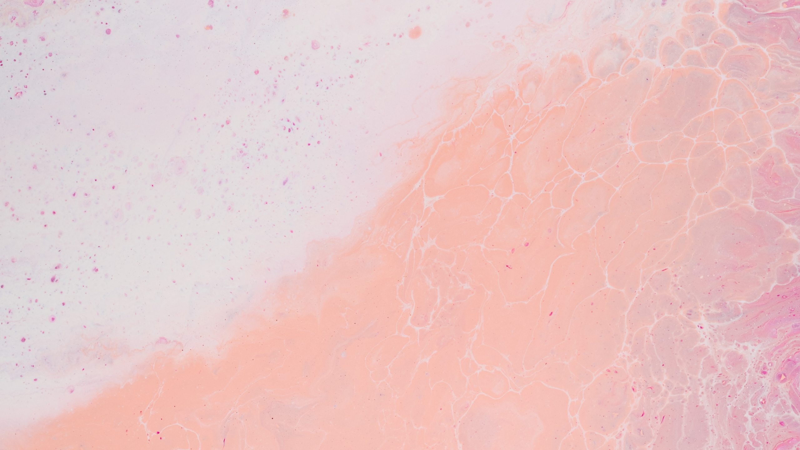 Обои розовый, кожа, персик, узор, небо в разрешении 2560x1440