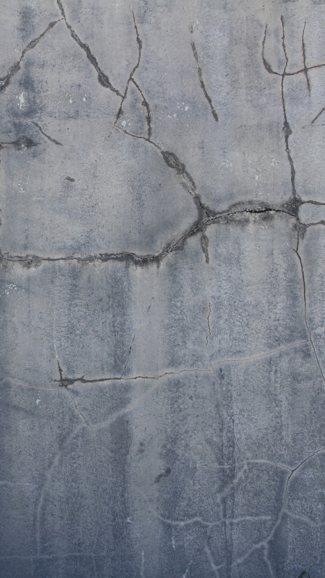 Обои стена, древесина, цемент, бетон, дерево в разрешении 1080x1920