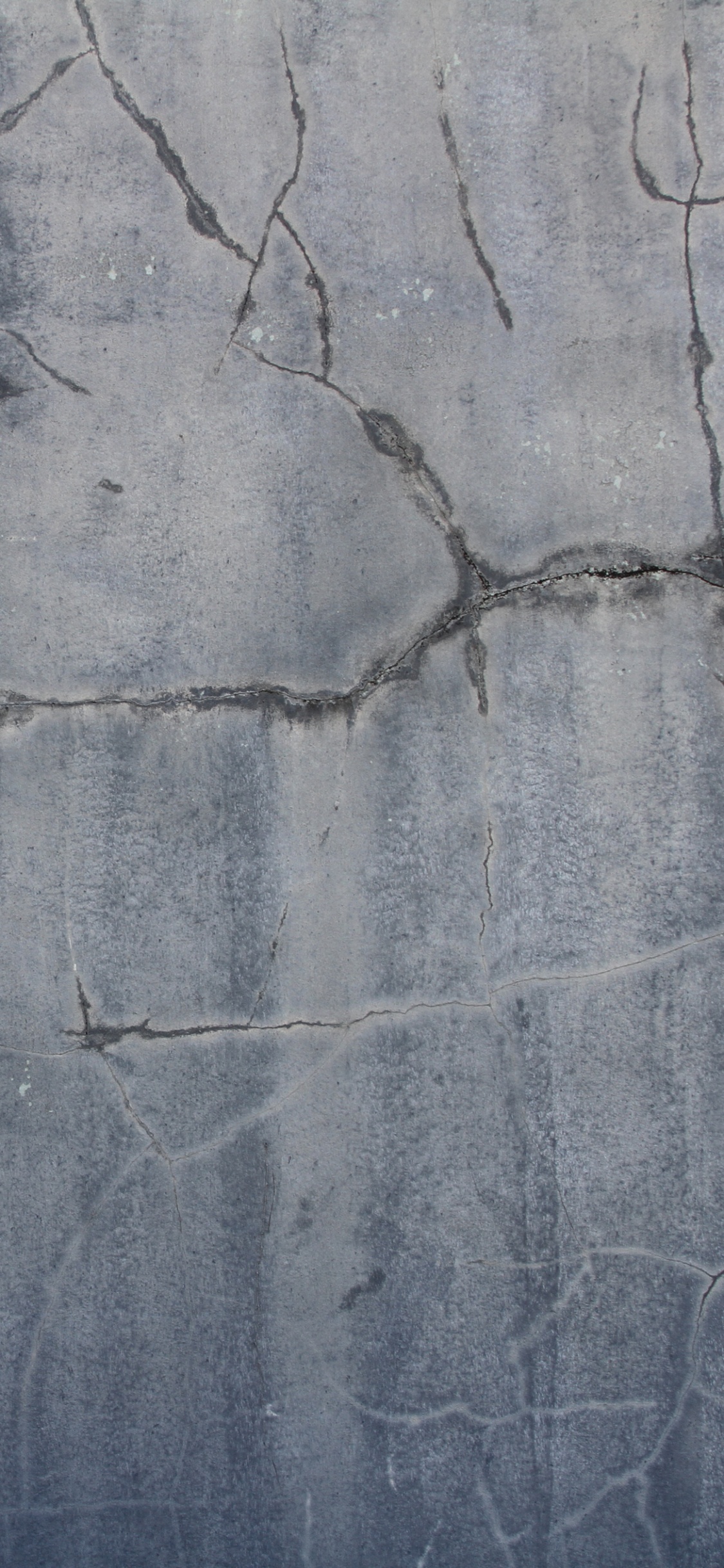 Обои стена, древесина, цемент, бетон, дерево в разрешении 1125x2436