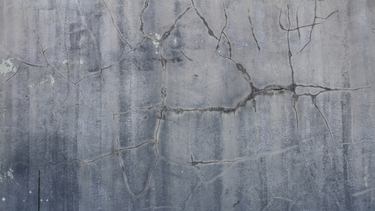 Обои стена, древесина, цемент, бетон, дерево в разрешении 1280x720