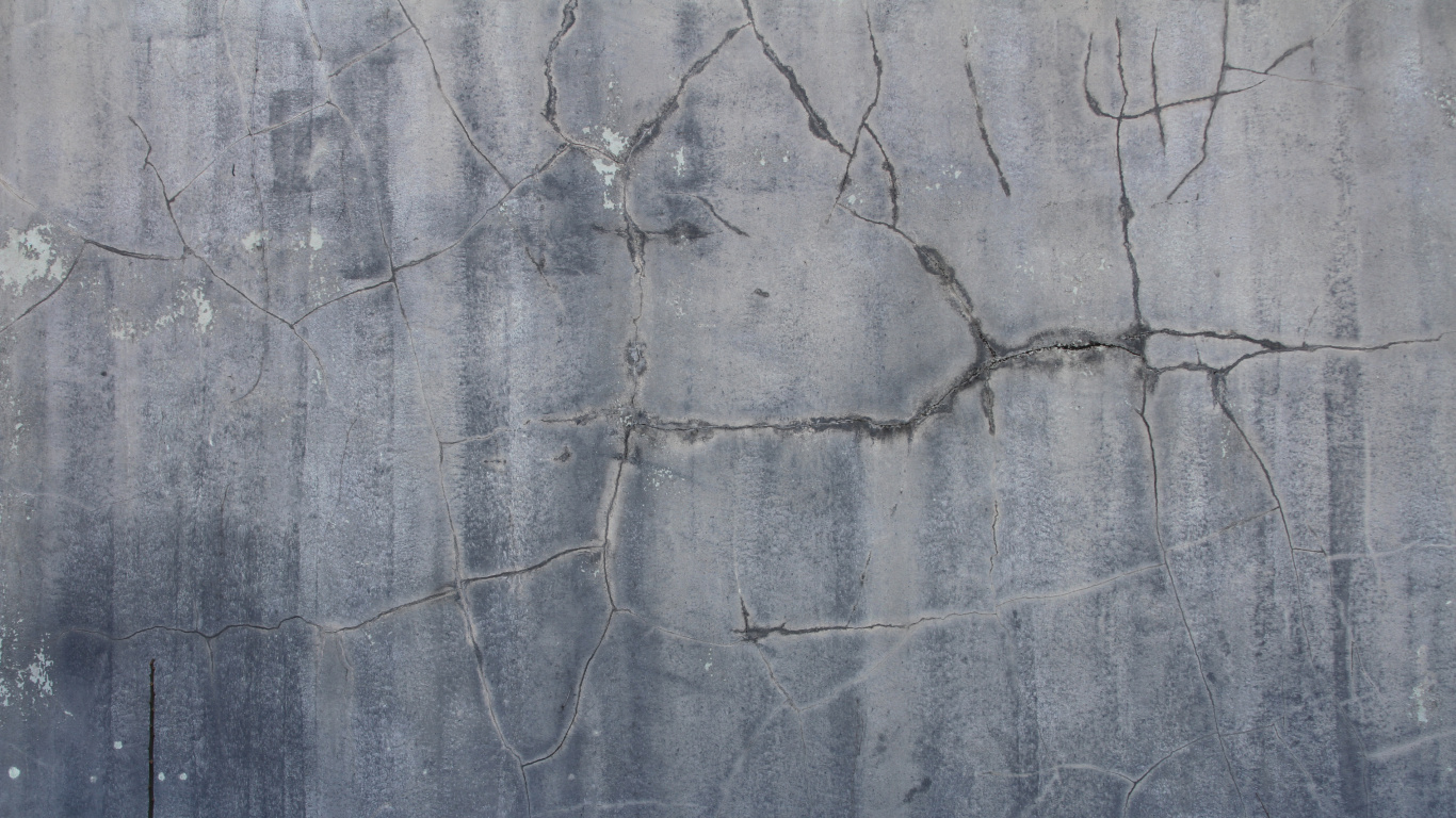 Обои стена, древесина, цемент, бетон, дерево в разрешении 1366x768