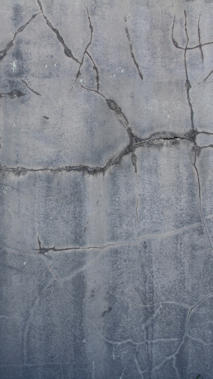 Обои стена, древесина, цемент, бетон, дерево в разрешении 720x1280