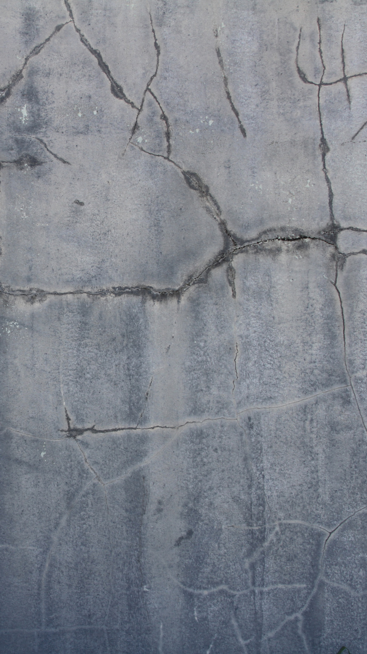 Обои стена, древесина, цемент, бетон, дерево в разрешении 750x1334