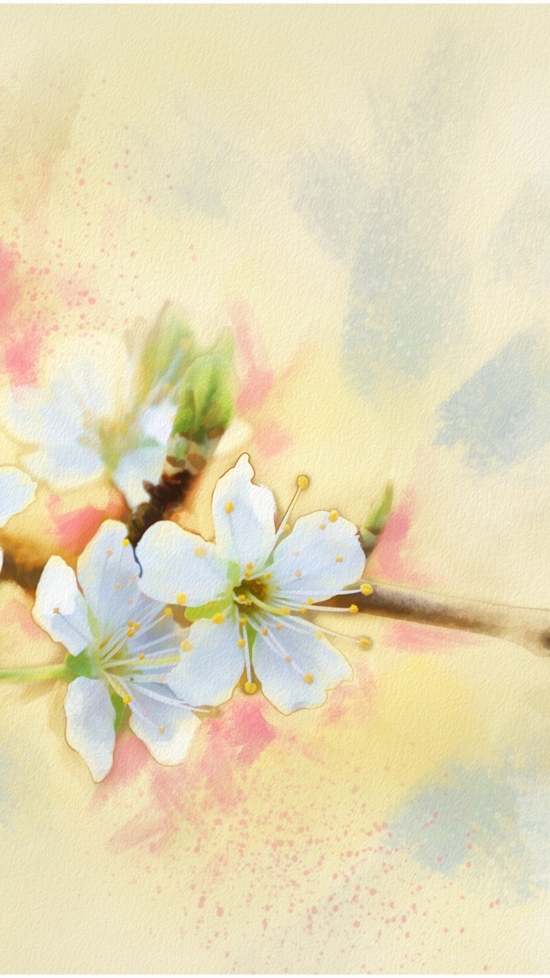 Обои цветение вишни, лепесток, прут, расцвет, акварельные краски в разрешении 1080x1920