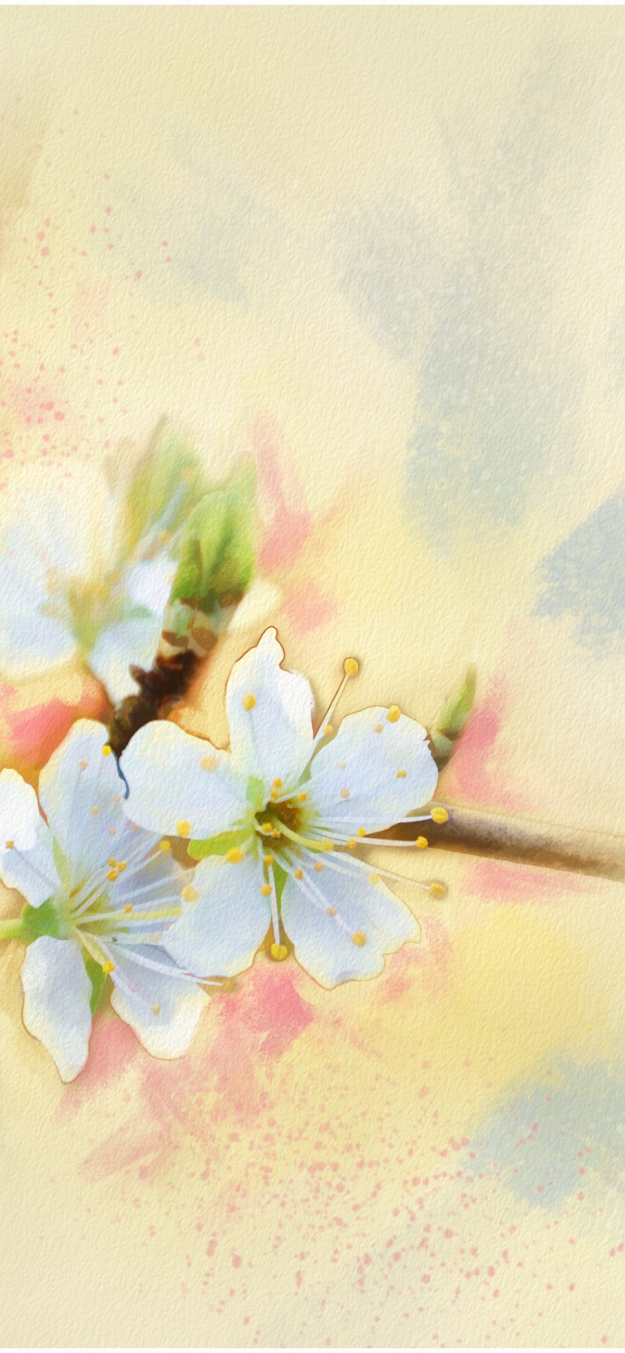 Обои цветение вишни, лепесток, прут, расцвет, акварельные краски в разрешении 1242x2688