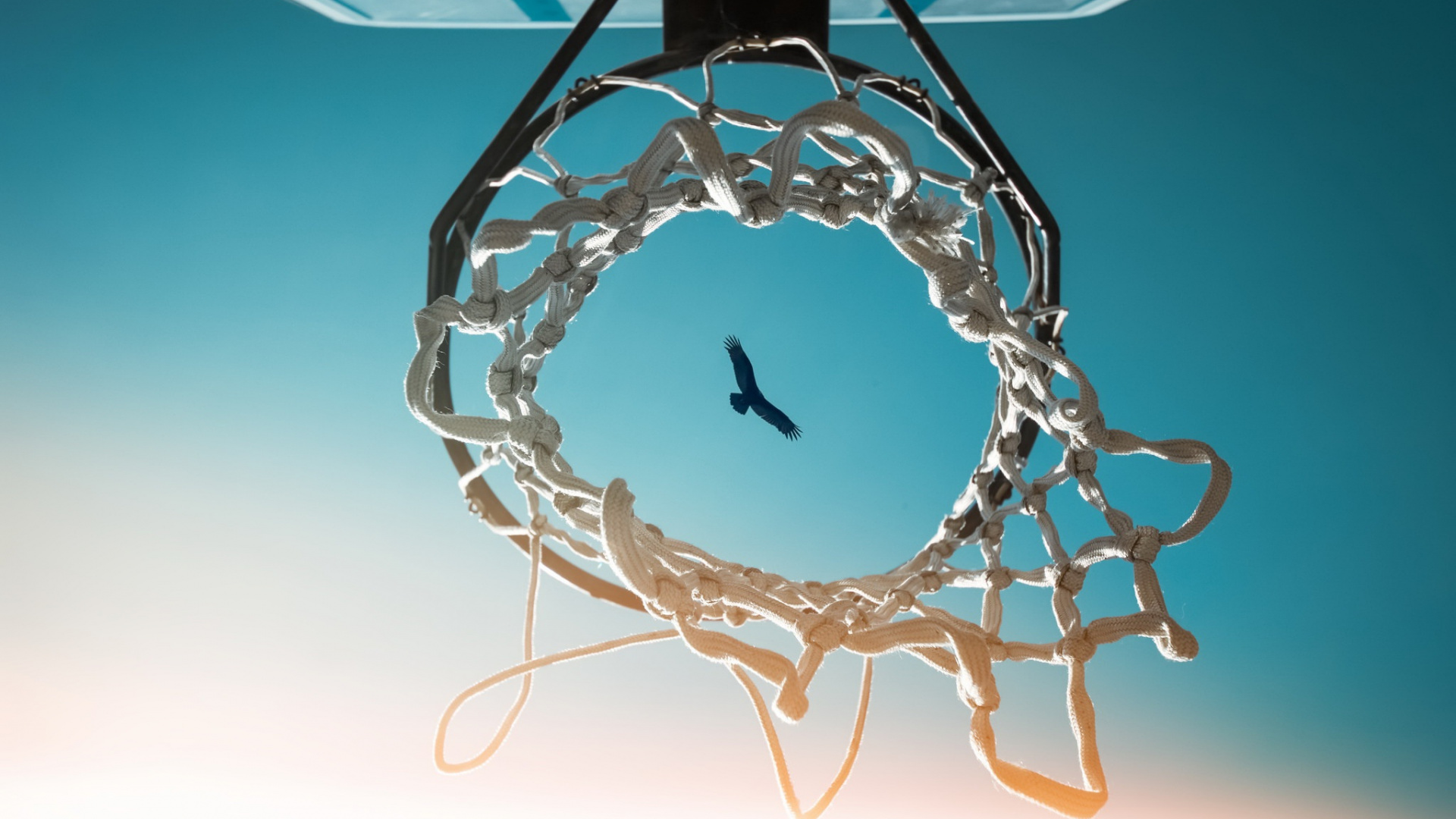 Обои вода, Баскетбол, синий, Аква, бирюза в разрешении 1920x1080