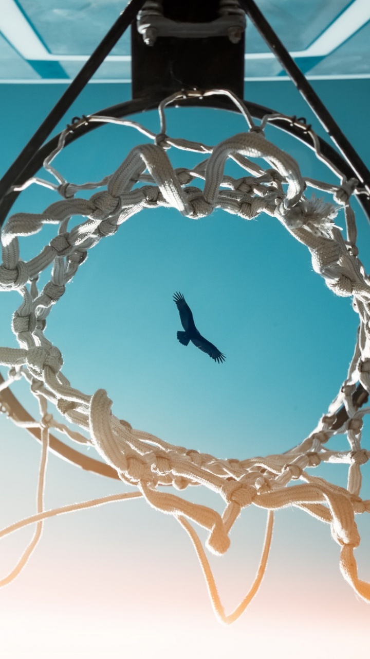 Обои вода, Баскетбол, синий, Аква, бирюза в разрешении 720x1280