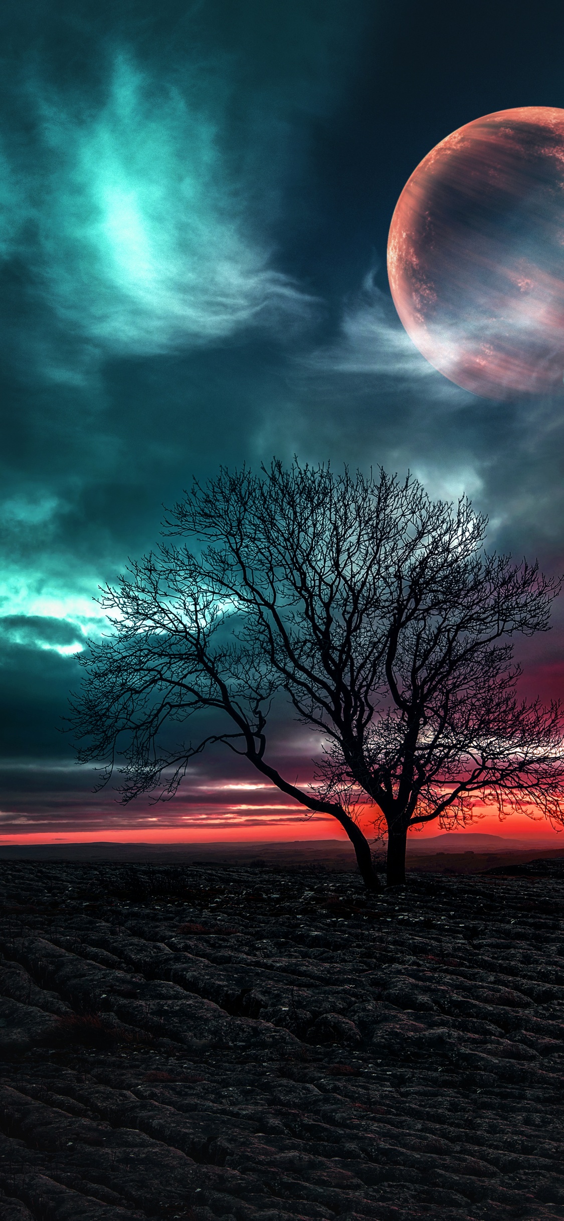 Обои природа, облако, атмосфера, дневное время, экорегион в разрешении 1125x2436