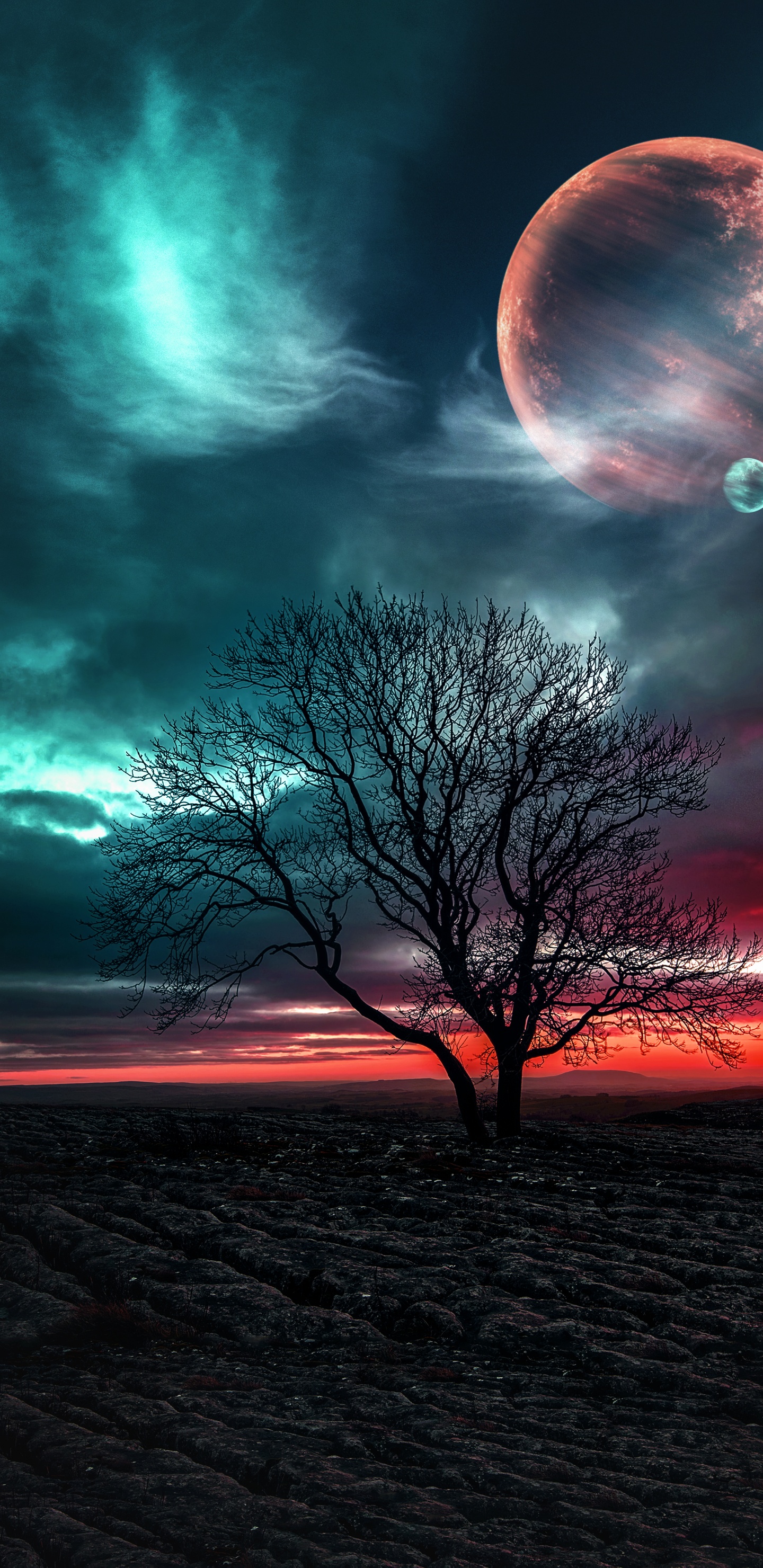 Обои природа, облако, атмосфера, дневное время, экорегион в разрешении 1440x2960