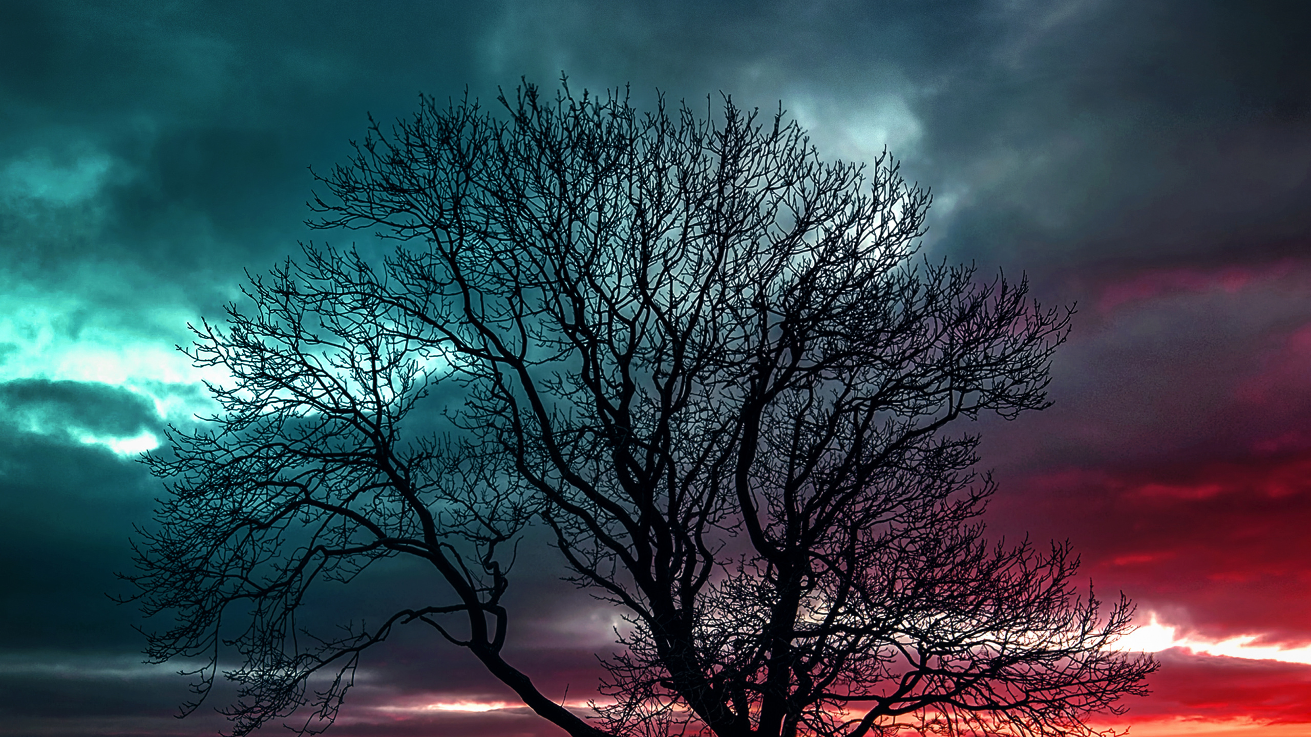 Обои природа, облако, атмосфера, дневное время, экорегион в разрешении 2560x1440