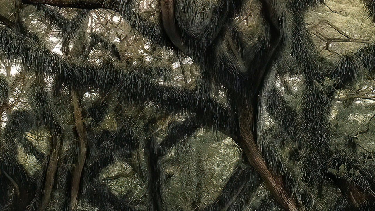 Обои компактный автомобиль, легковые автомобили, дерево, растение, природный ландшафт в разрешении 1280x720