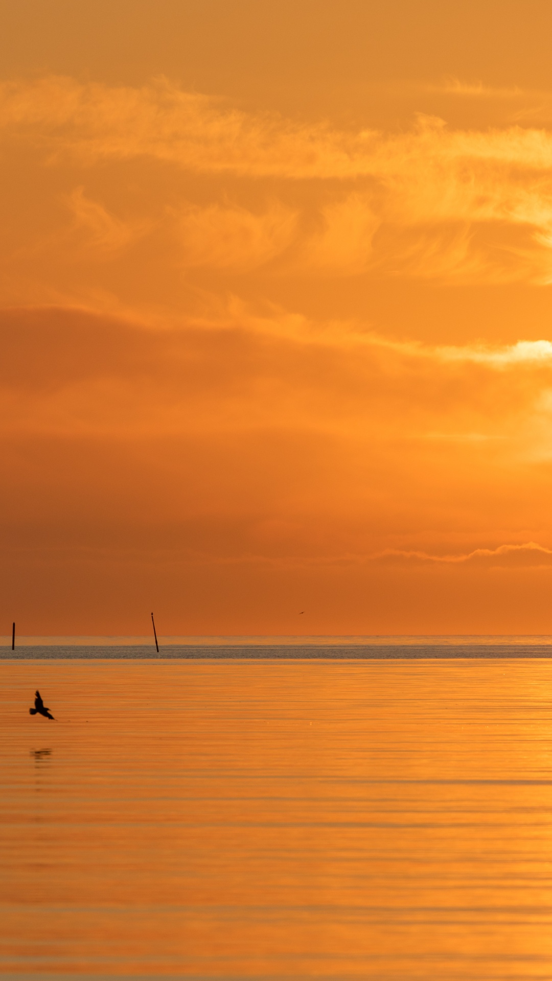 Обои море, спокойный, послесвечение, восход солнца, вечер в разрешении 1080x1920